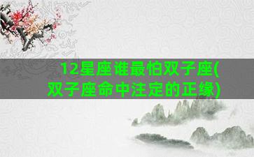 12星座谁最怕双子座(双子座命中注定的正缘)