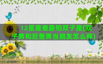 12星座谁最怕双子座(双子男和巨蟹男当朋友怎么样)