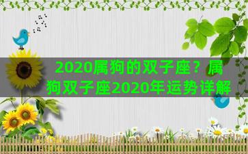 2020属狗的双子座？属狗双子座2020年运势详解