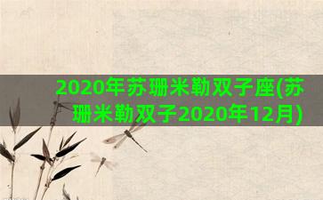 2020年苏珊米勒双子座(苏珊米勒双子2020年12月)