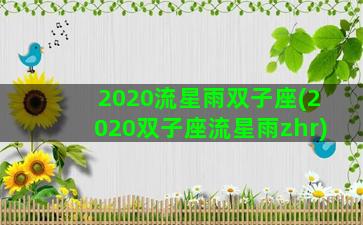 2020流星雨双子座(2020双子座流星雨zhr)