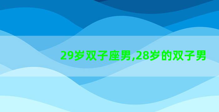 29岁双子座男,28岁的双子男