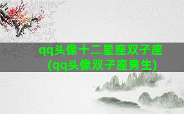 qq头像十二星座双子座(qq头像双子座男生)