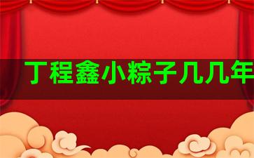 丁程鑫小粽子几几年生的