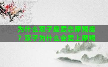 为什么双子座爱恋摩羯座？双子为什么会爱上摩羯