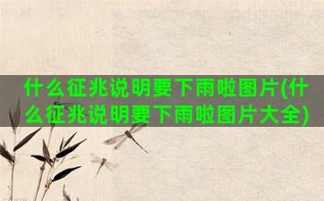 什么征兆说明要下雨啦图片(什么征兆说明要下雨啦图片大全)