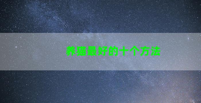 养猫最好的十个方法