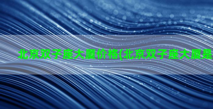 北京双子座大厦价格(北京双子座大厦是做什么的)
