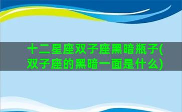 十二星座双子座黑暗瓶子(双子座的黑暗一面是什么)