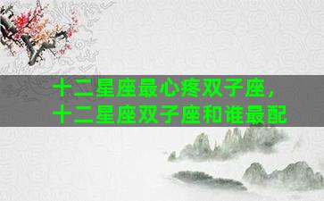 十二星座最心疼双子座，十二星座双子座和谁最配