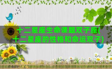 十二星座生命课题双子座(十二星座的性格和命运双子)