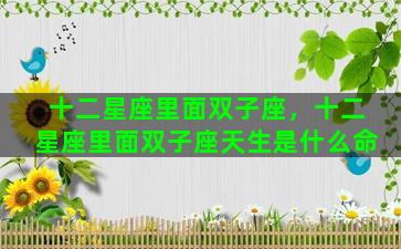 十二星座里面双子座，十二星座里面双子座天生是什么命