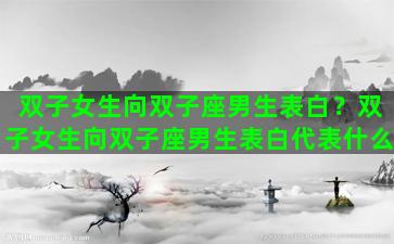 双子女生向双子座男生表白？双子女生向双子座男生表白代表什么