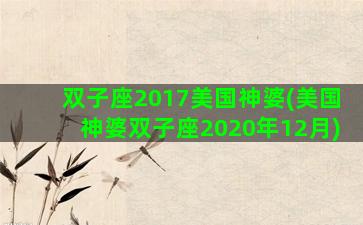 双子座2017美国神婆(美国神婆双子座2020年12月)