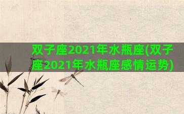 双子座2021年水瓶座(双子座2021年水瓶座感情运势)