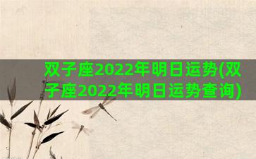 双子座2022年明日运势(双子座2022年明日运势查询)