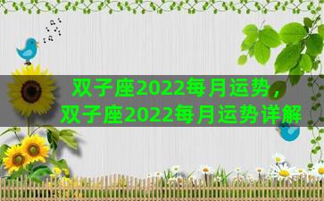 双子座2022每月运势，双子座2022每月运势详解