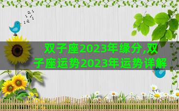 双子座2023年缘分,双子座运势2023年运势详解