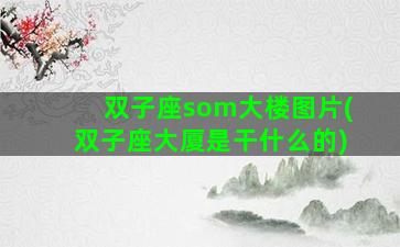 双子座som大楼图片(双子座大厦是干什么的)