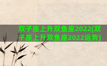 双子座上升双鱼座2022(双子座上升双鱼座2022运势)