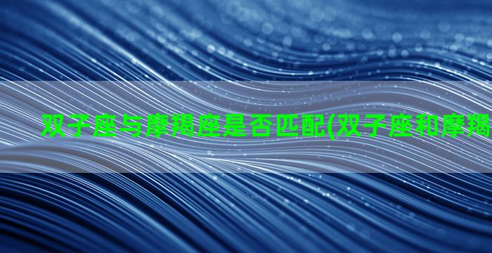 双子座与摩羯座是否匹配(双子座和摩羯座匹配吗)