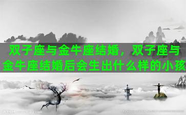 双子座与金牛座结婚，双子座与金牛座结婚后会生出什么样的小孩