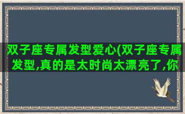 双子座专属发型爱心(双子座专属发型,真的是太时尚太漂亮了,你们学会了吗)