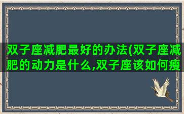 双子座减肥最好的办法(双子座减肥的动力是什么,双子座该如何瘦成一道闪电)