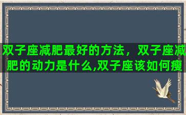 双子座减肥最好的方法，双子座减肥的动力是什么,双子座该如何瘦成一道闪电