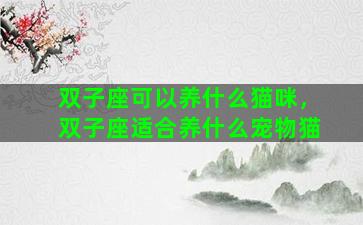 双子座可以养什么猫咪，双子座适合养什么宠物猫