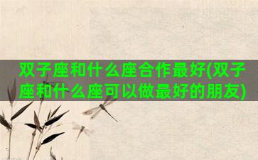 双子座和什么座合作最好(双子座和什么座可以做最好的朋友)