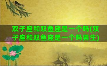 双子座和双鱼座是一个吗(双子座和双鱼座是一个吗男生)