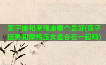 双子座和摩羯座哪个最好(双子座男和摩羯座女适合在一起吗)