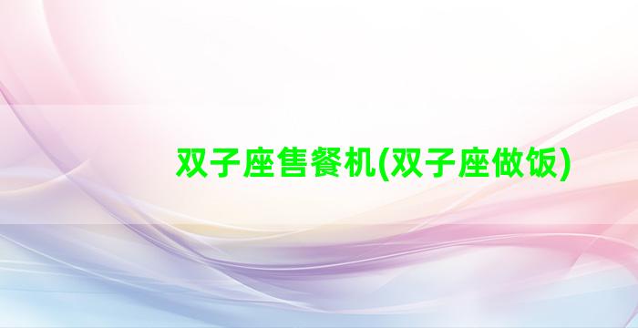 双子座售餐机(双子座做饭)