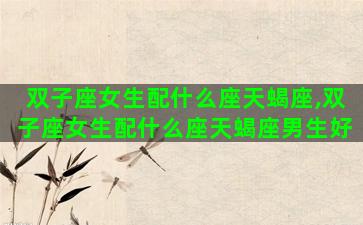双子座女生配什么座天蝎座,双子座女生配什么座天蝎座男生好
