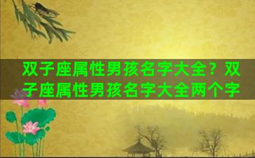 双子座属性男孩名字大全？双子座属性男孩名字大全两个字