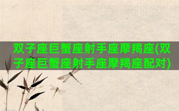 双子座巨蟹座射手座摩羯座(双子座巨蟹座射手座摩羯座配对)