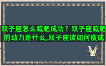 双子座怎么减肥成功？双子座减肥的动力是什么,双子座该如何瘦成一道闪电