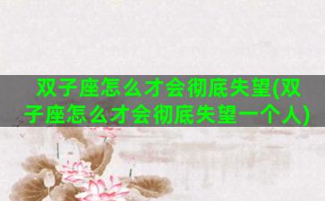 双子座怎么才会彻底失望(双子座怎么才会彻底失望一个人)