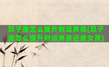 双子座怎么提升财运男孩(双子座怎么提升财运男孩还是女孩)