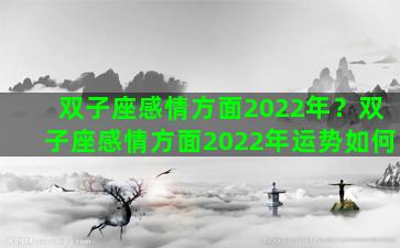 双子座感情方面2022年？双子座感情方面2022年运势如何