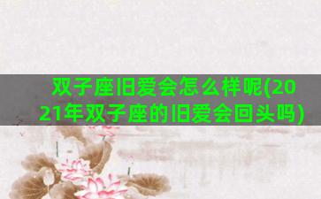 双子座旧爱会怎么样呢(2021年双子座的旧爱会回头吗)