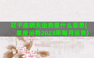 双子座明天运势是什么意思(星座运势2023年每月运势)