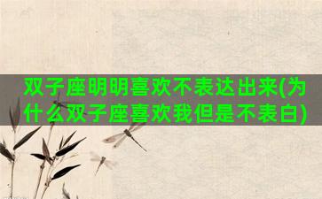 双子座明明喜欢不表达出来(为什么双子座喜欢我但是不表白)