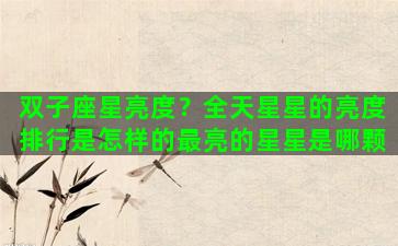 双子座星亮度？全天星星的亮度排行是怎样的最亮的星星是哪颗