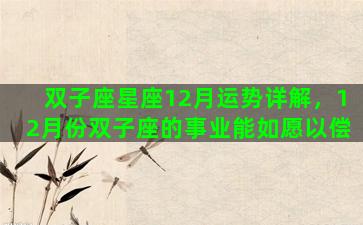 双子座星座12月运势详解，12月份双子座的事业能如愿以偿