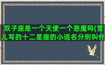 双子座是一个天使一个恶魔吗(雪儿写的十二星座的小说名分别叫什么)