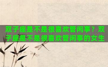 双子座是不是很喜欢管闲事？双子座是不是很喜欢管闲事的女生