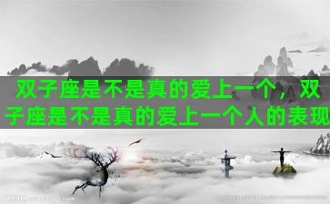 双子座是不是真的爱上一个，双子座是不是真的爱上一个人的表现
