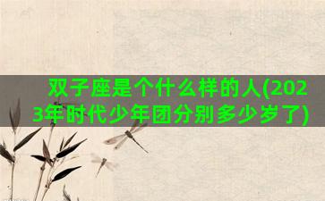 双子座是个什么样的人(2023年时代少年团分别多少岁了)